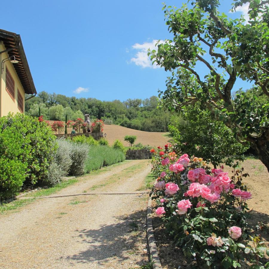 Agriturismo Podere Filicaia Сан-Джованни-Вальдарно Экстерьер фото