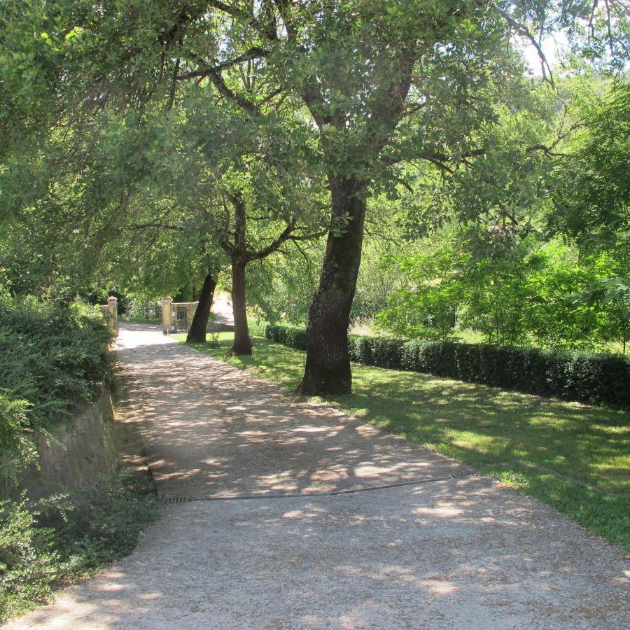 Agriturismo Podere Filicaia Сан-Джованни-Вальдарно Экстерьер фото